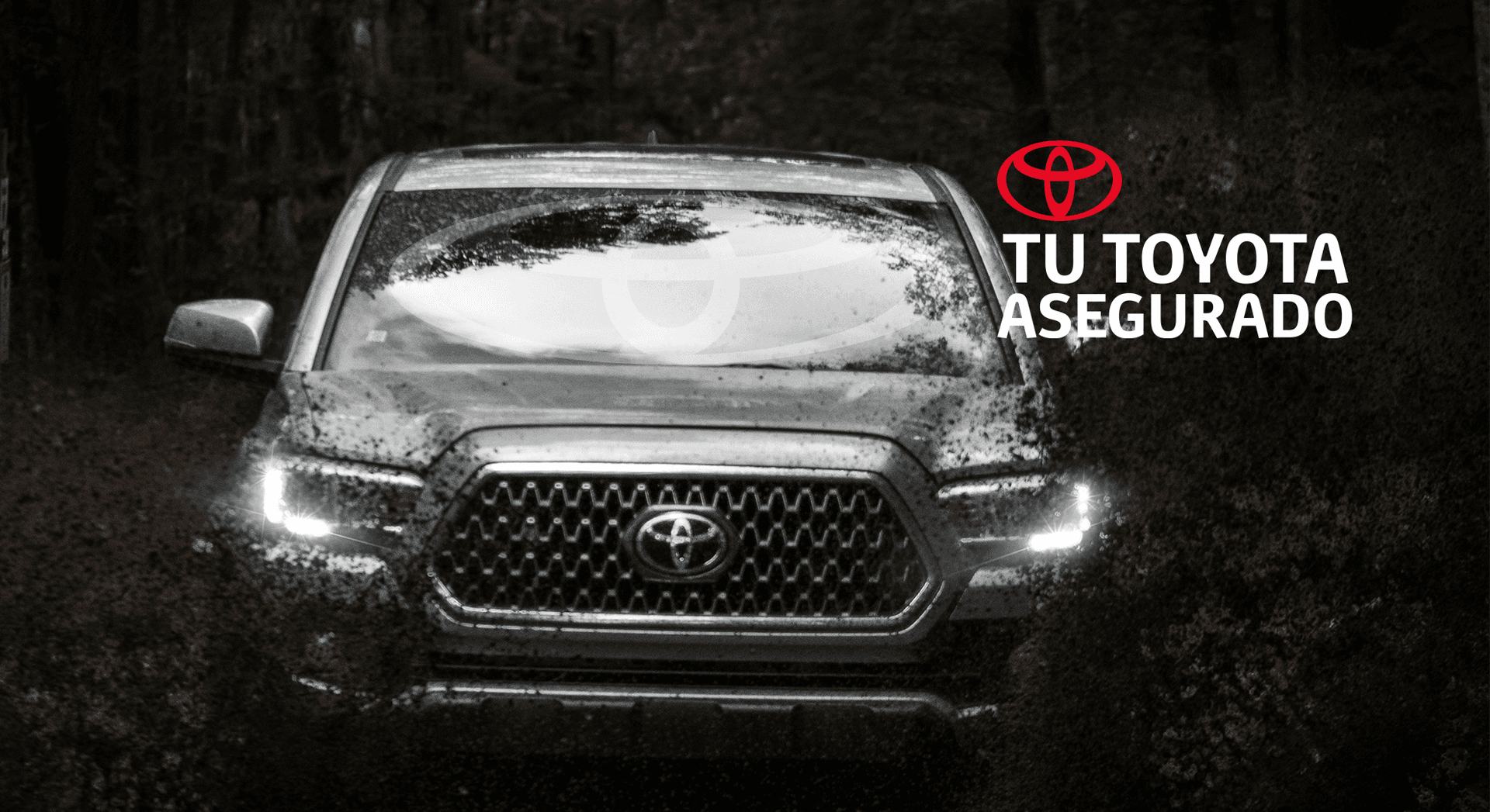 Equipo Toyota Salcars